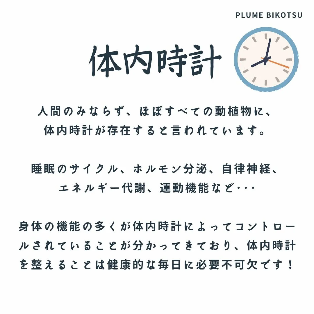 体内時計のリセットと健康習慣　福岡市南区