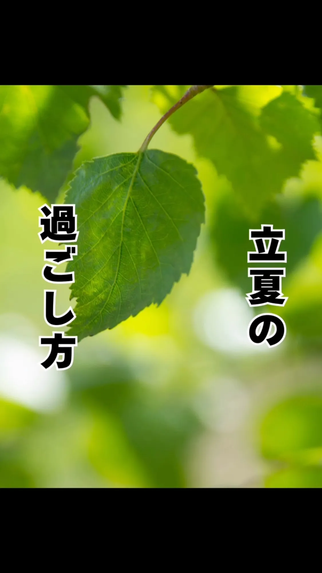 ゴールデンウィークの終盤の過ごし方　おおはし