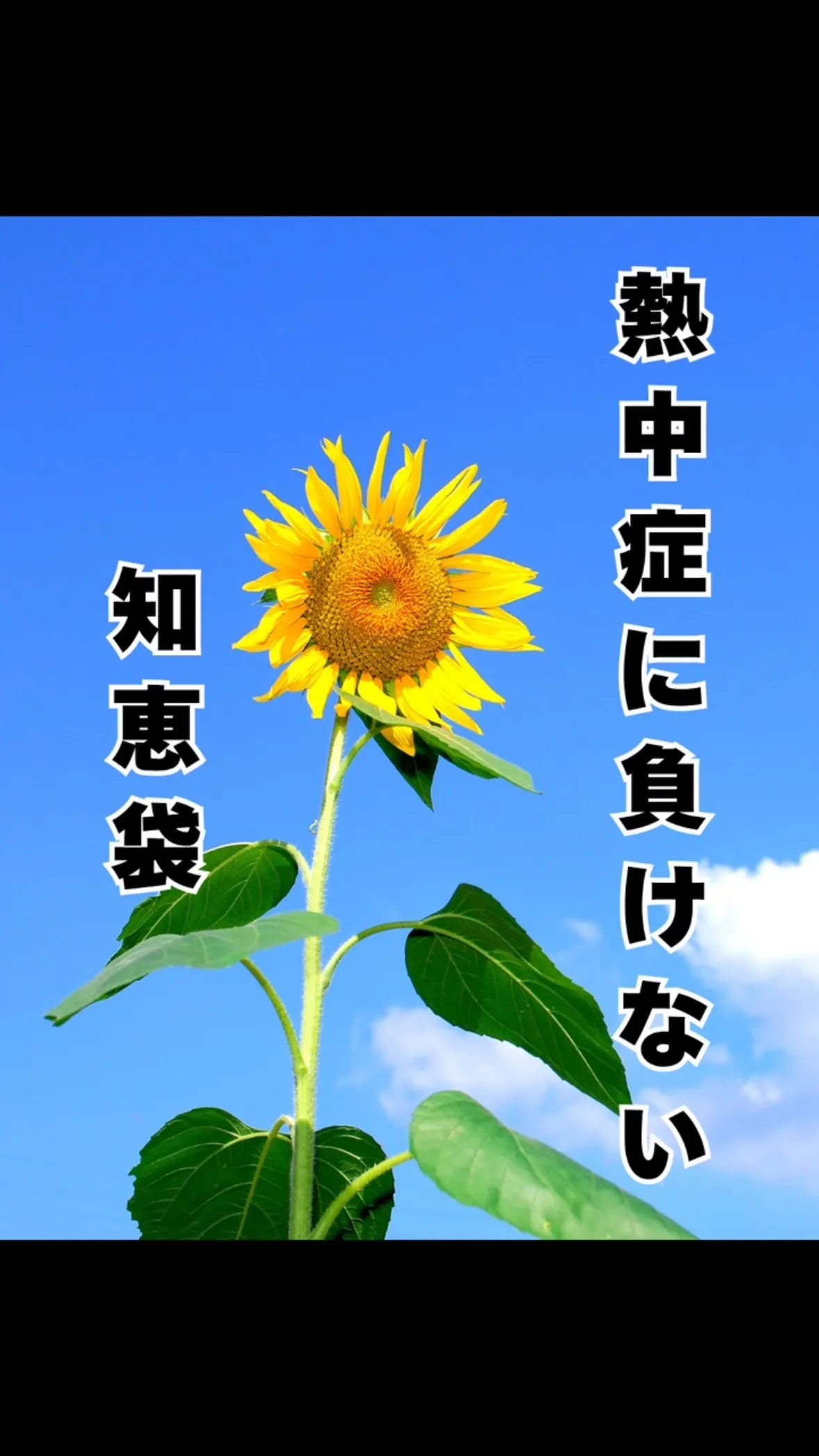 熱中症の知恵袋　南区大橋