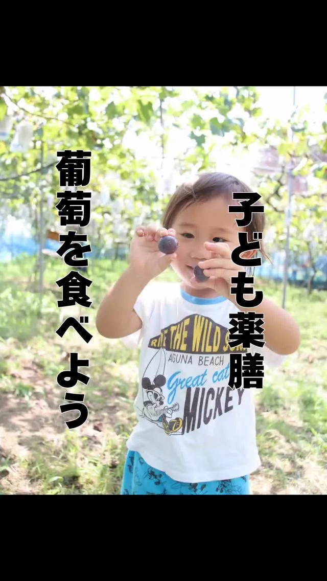 秋の味覚ぶどう🍇　大橋駅徒歩圏内