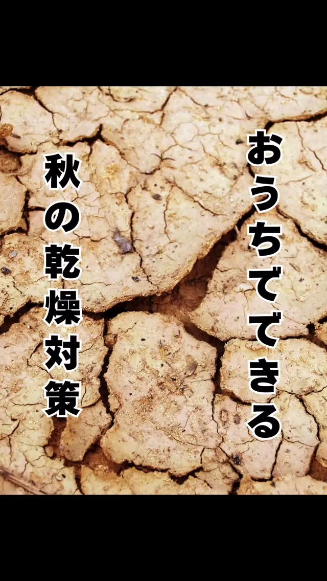 乾燥対策　南区大橋