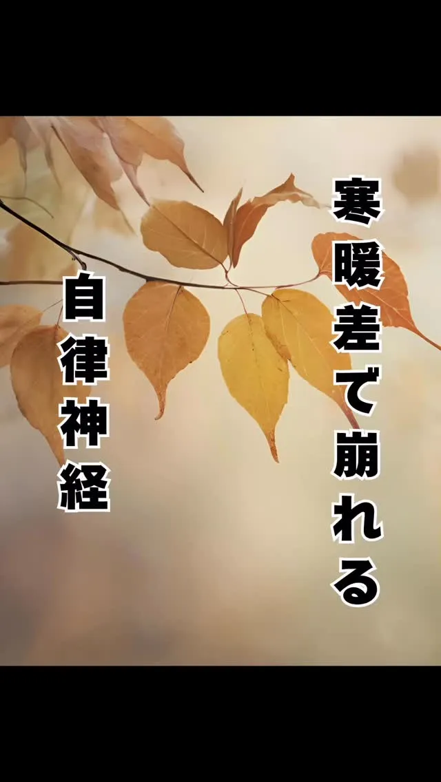 秋の自律神経　福岡県大橋