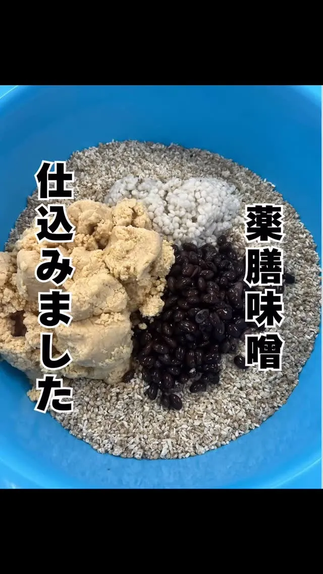 薬膳味噌　福岡市南区