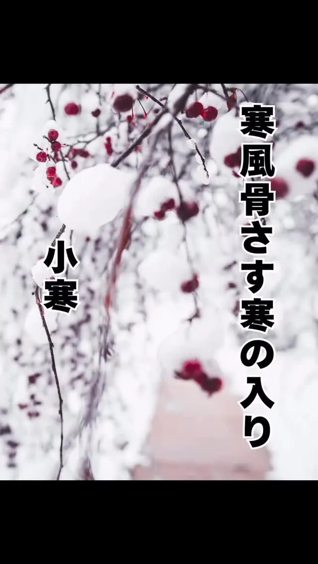 小寒　福岡市南区西鉄大橋