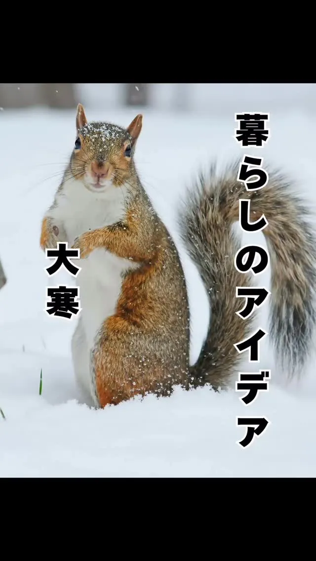 二十四節気「大寒」