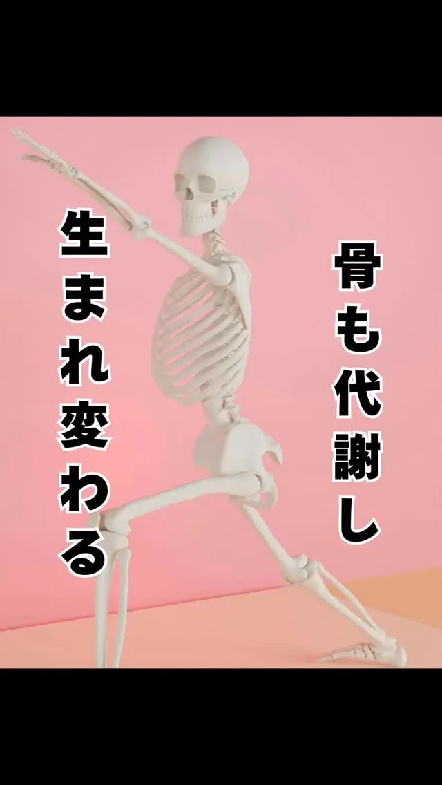 骨のターンオーバー　福岡南区大橋