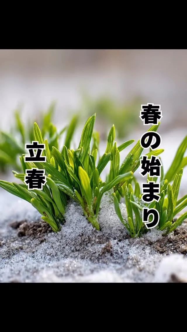 本日「立春」　福岡県福岡市