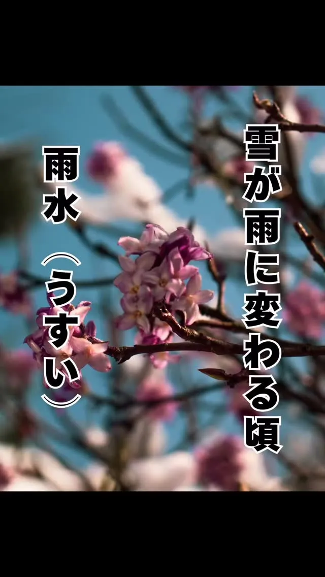 季節は春に移り変わり　福岡南