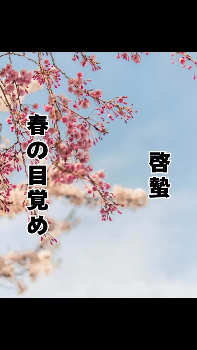 本日「啓蟄」　　大橋南区福岡市