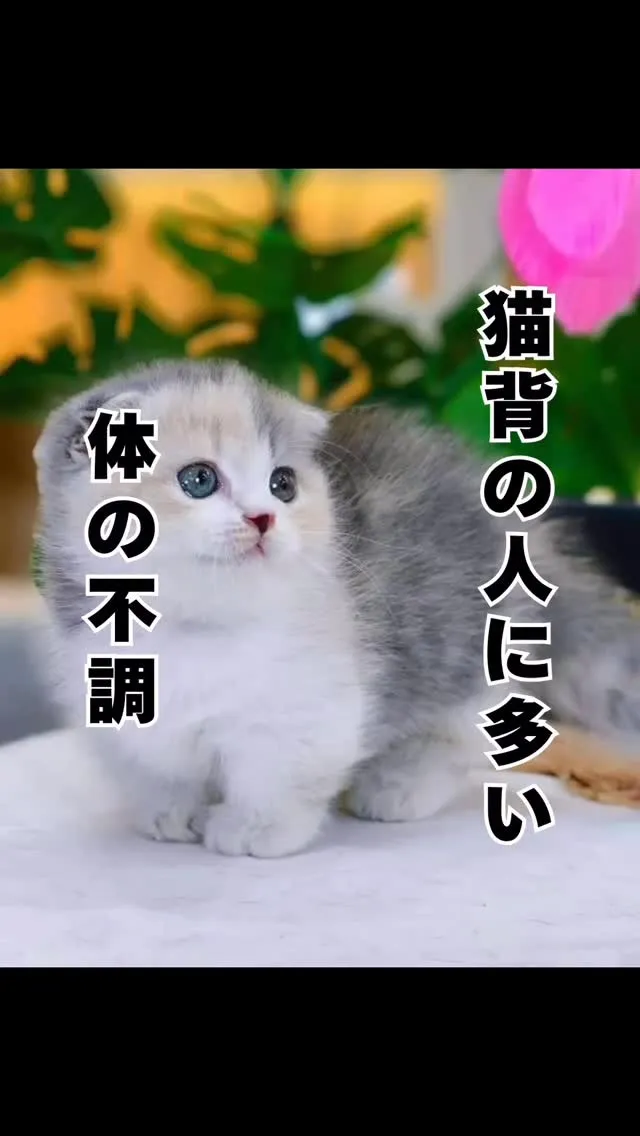 猫背の人に多い体の不調　大橋　福岡