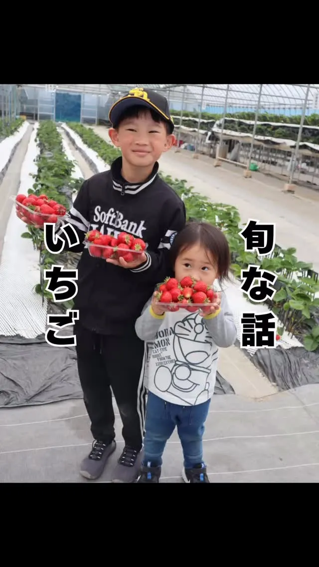 いちご狩りに行ってきました🍓　大橋