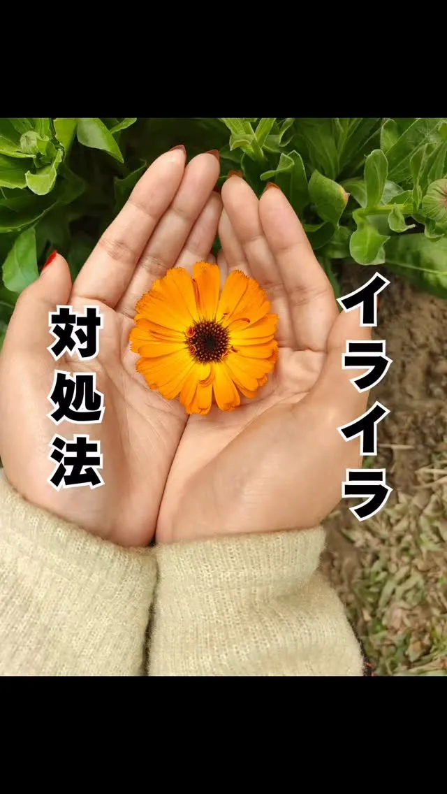 春と肝とイライラ　南区大橋