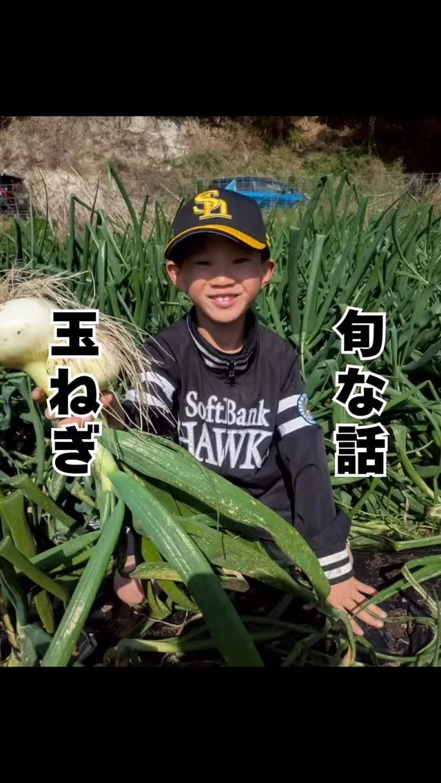 玉ねぎ掘りに行ってきました　福岡