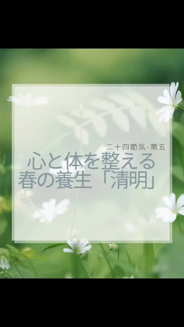 清明4/5〜4/19　南区大橋