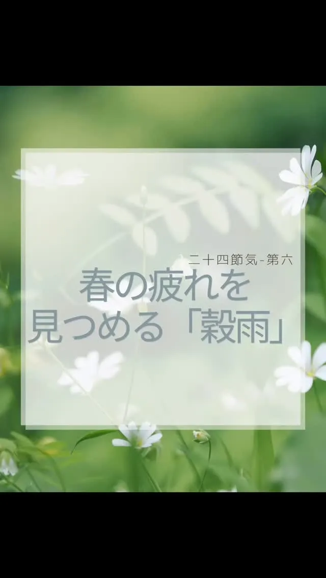 穀雨（こくう）　Fukuoka Ohashi