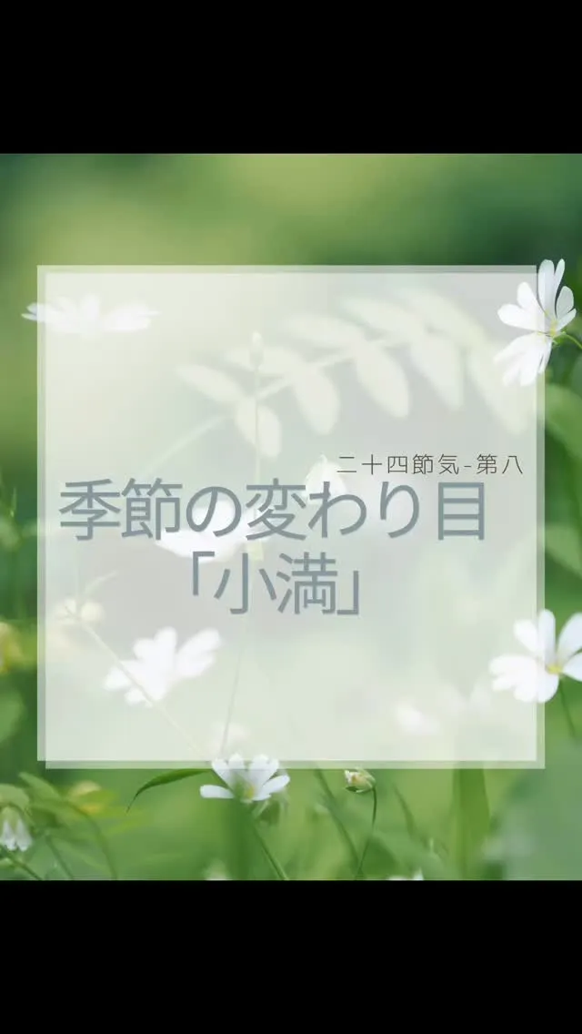 5/21は小満🌿　南区大橋
