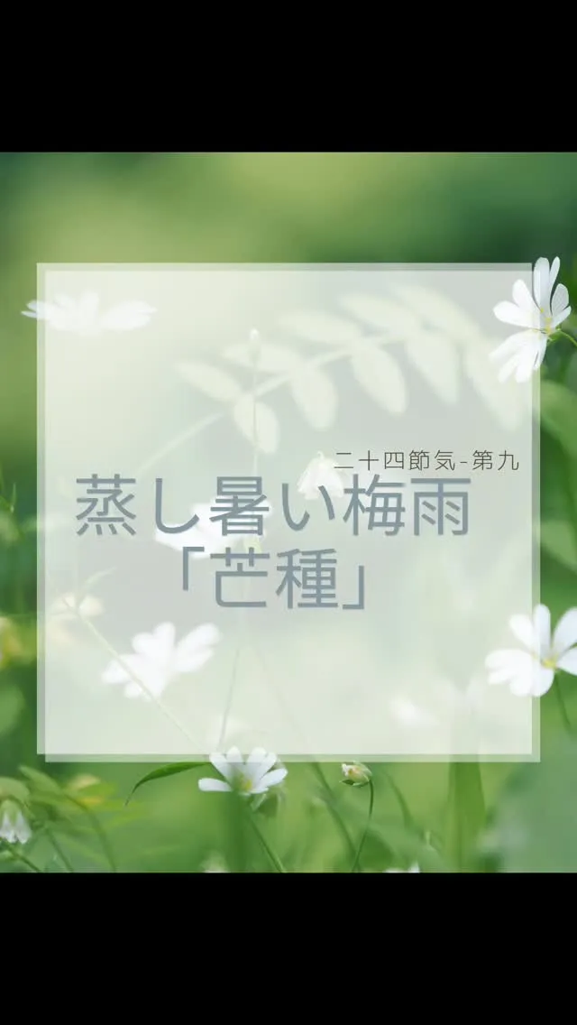 梅雨　福岡南区大橋駅