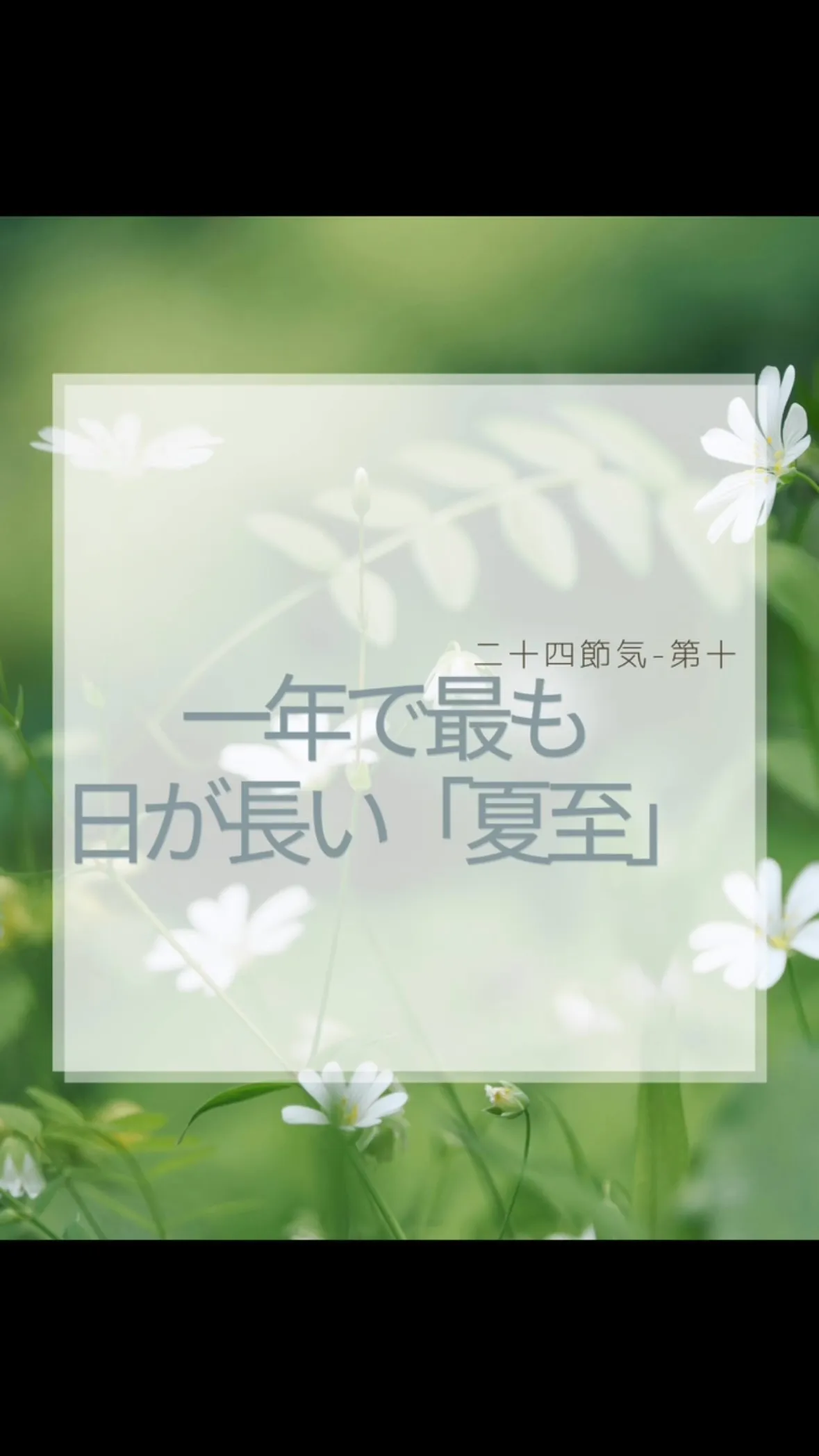 夏至🌞　福岡南区大橋