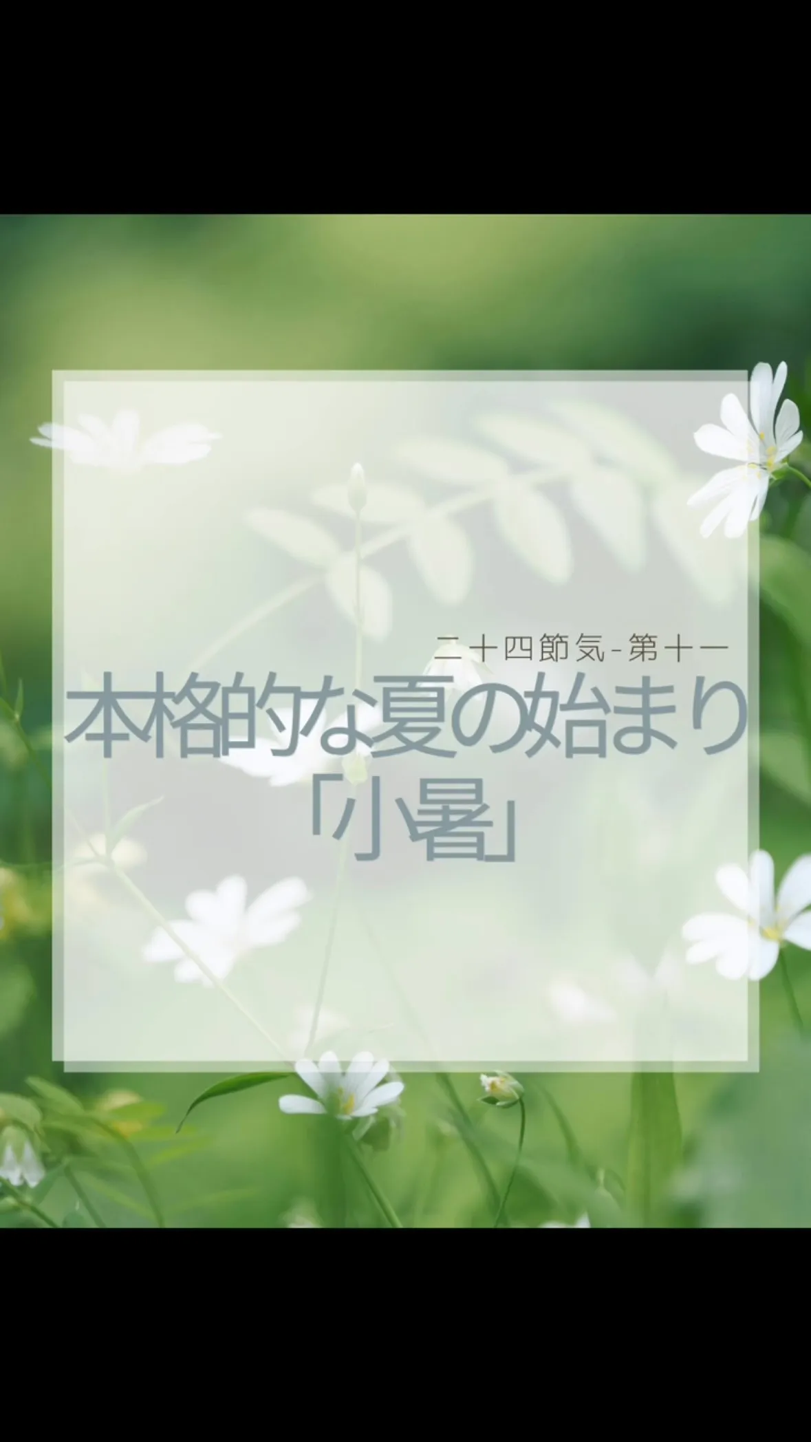 小暑　福岡南区大橋