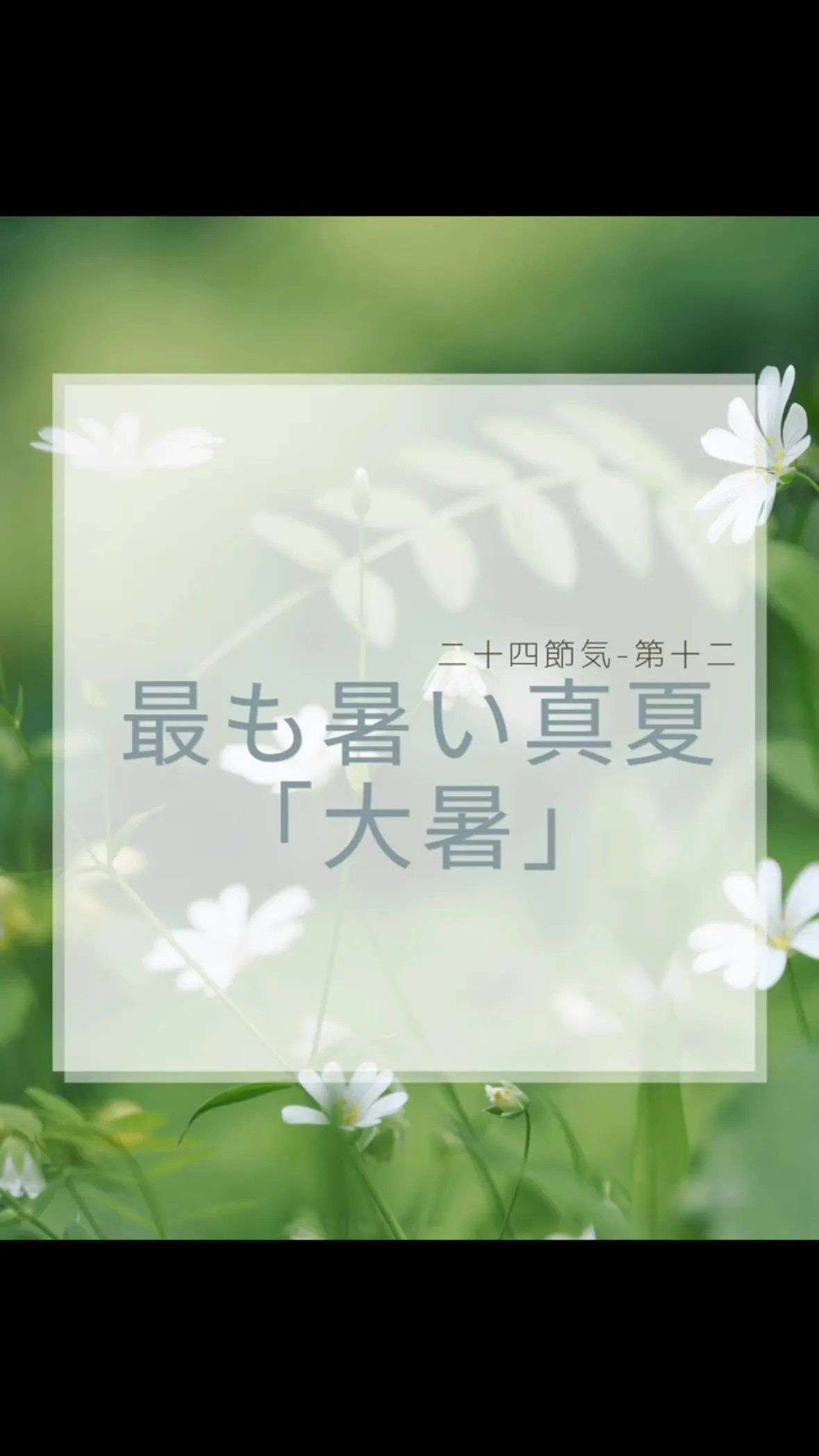 今日は二十四節気の『大暑』　西鉄天神大牟田線