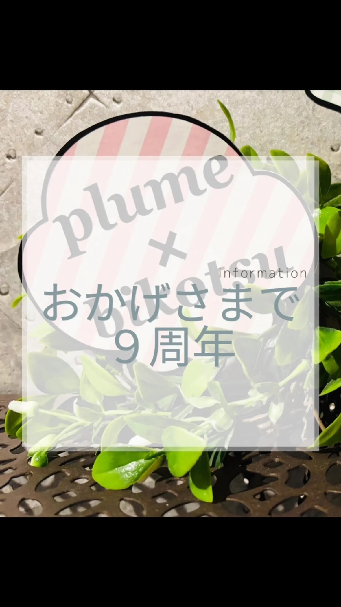 **🌿おかげさまで9周年🌿**　大橋
