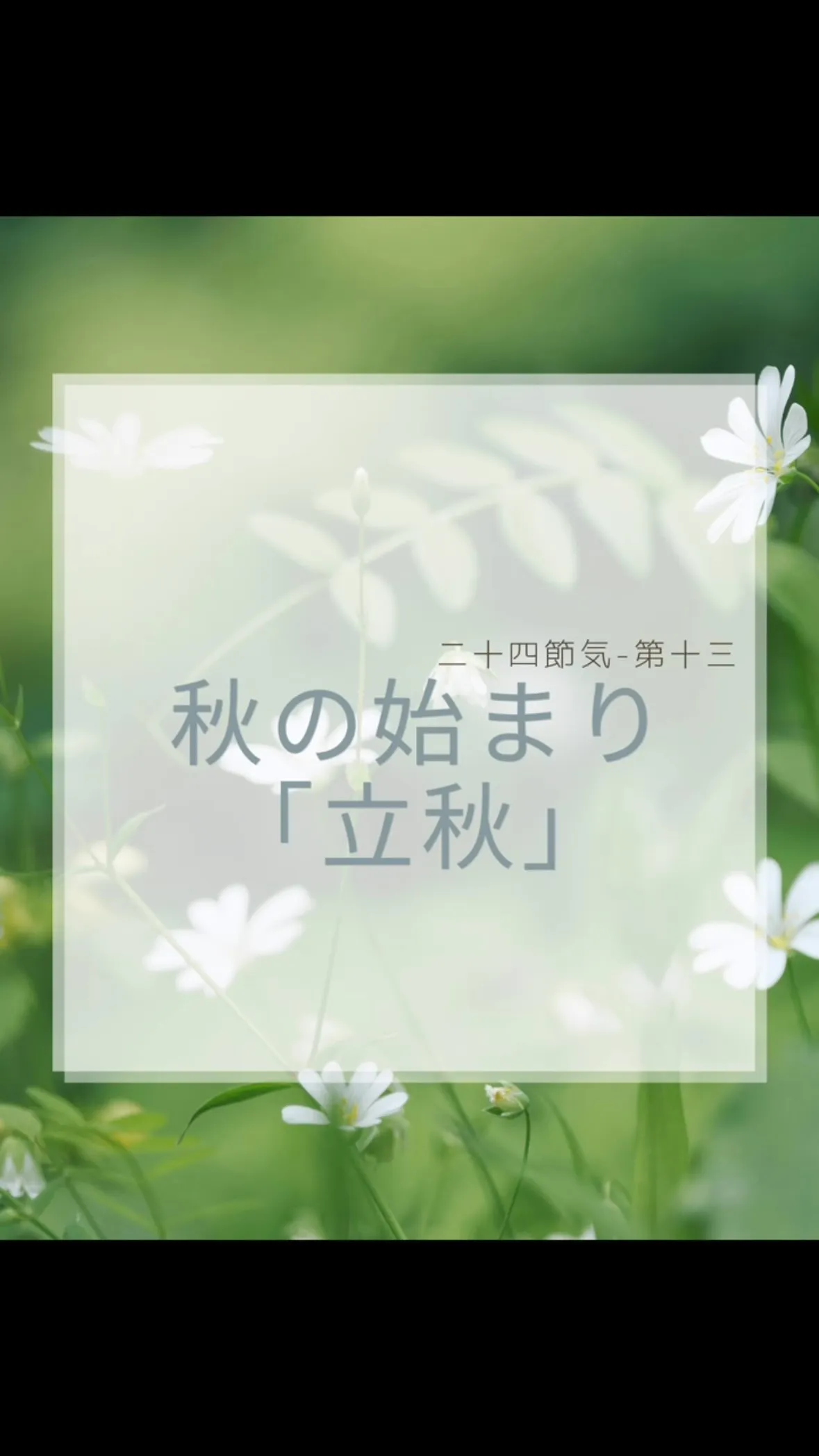 今日は「立秋」　　南区福岡