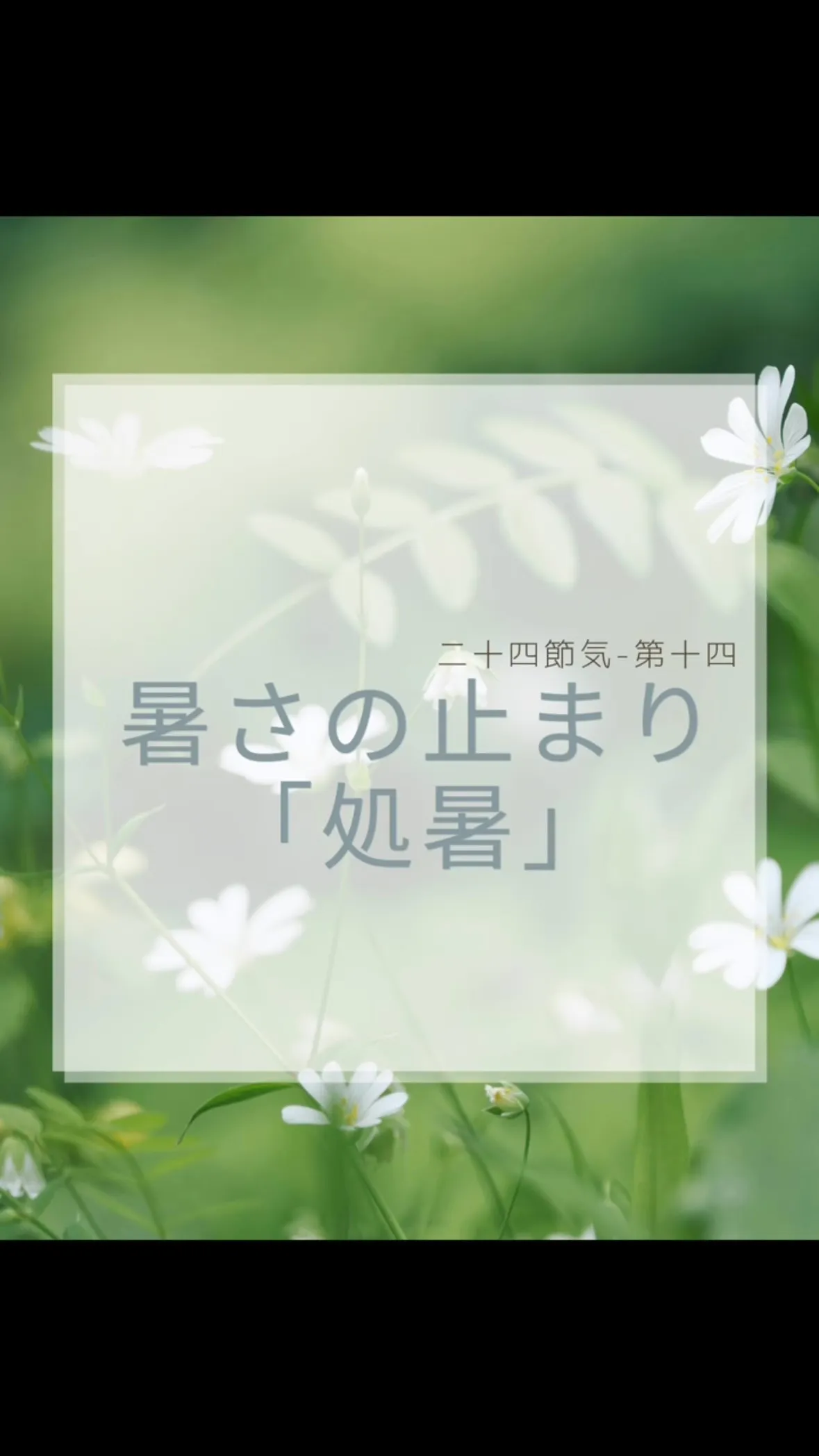 「処暑（しょしょ）」　福岡南区