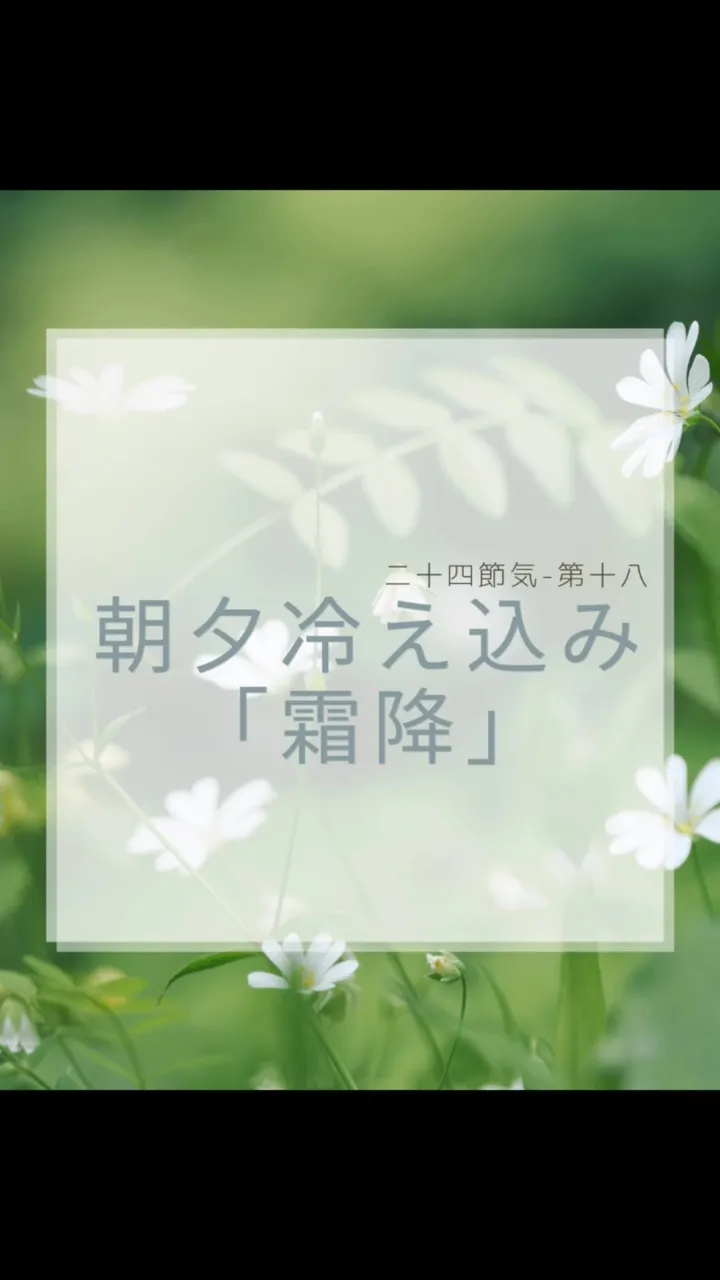 二十四節気霜降（そうこう）🍃